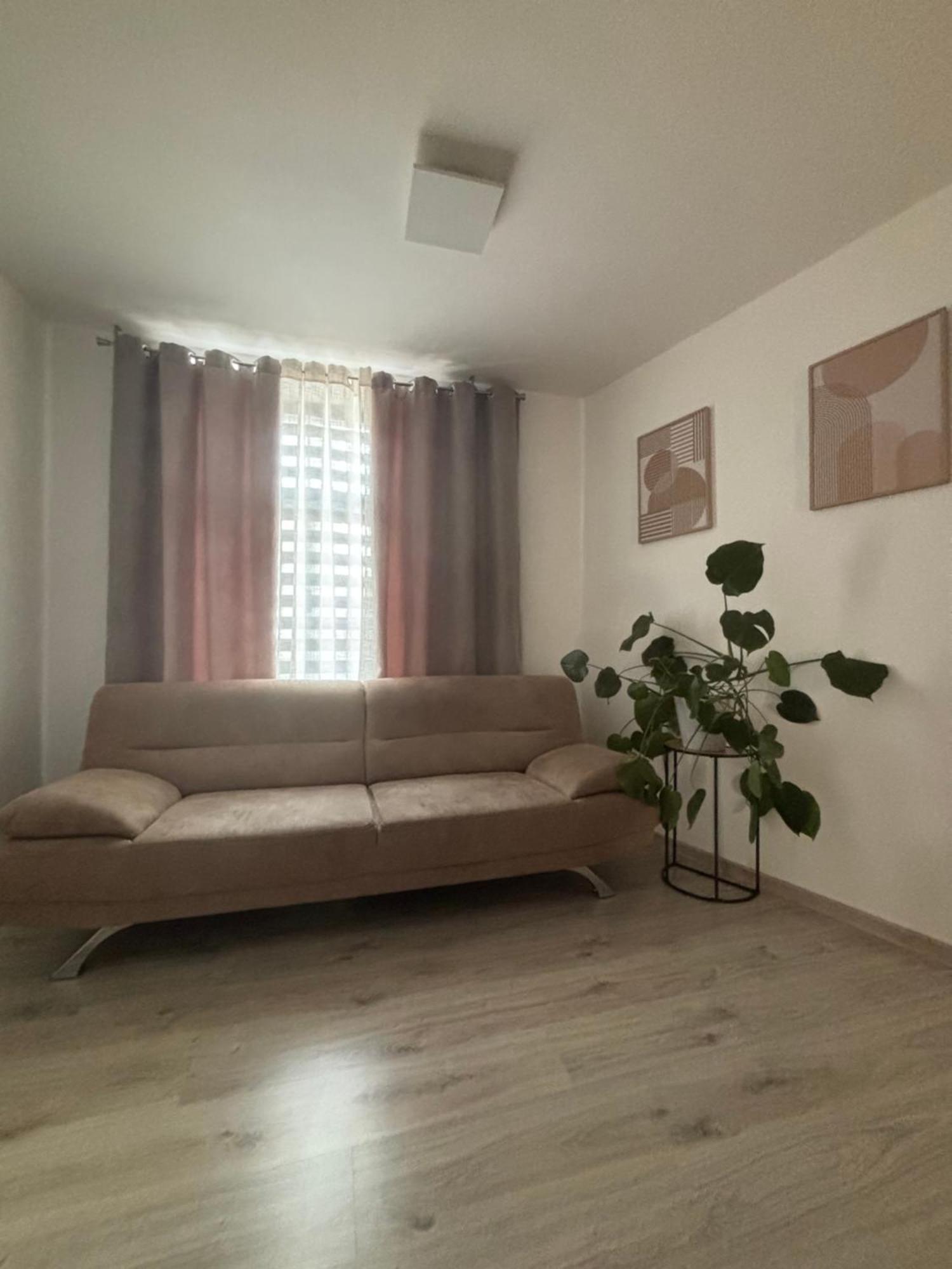 Penzion U Radnice, Byt 3 زنويمو المظهر الخارجي الصورة